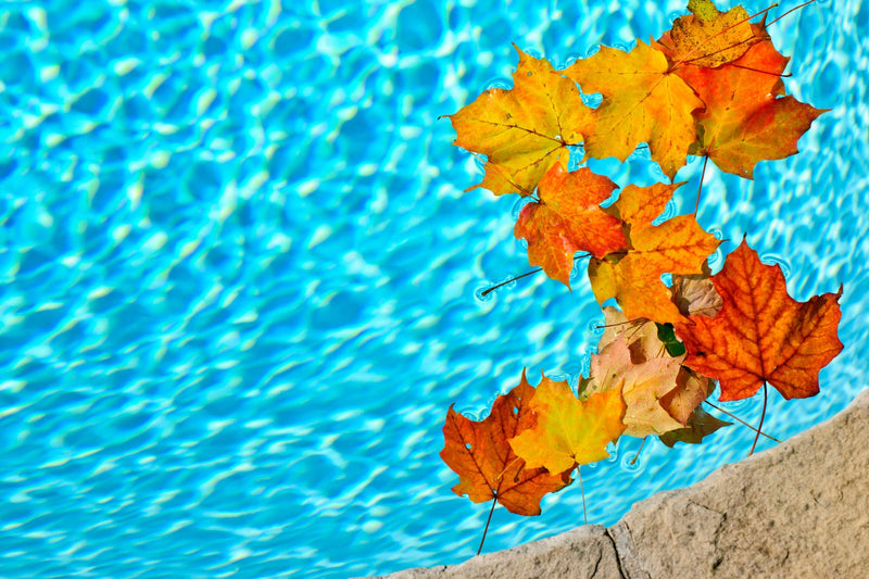 Winterizing Your Pool: Tips and Tricks