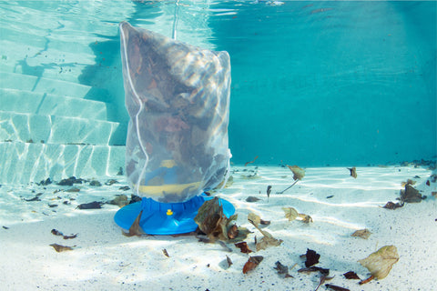 Feuilles mortes et piscine : quels risques si on ne les retire pas rapidement ?