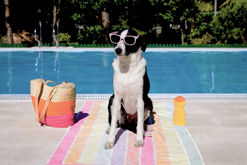 A Clean Pool Is a Safe Pool