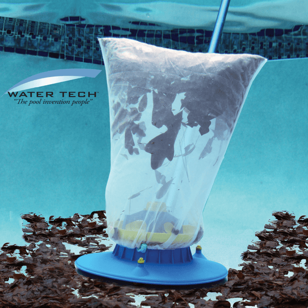 Dead leaves and pools: what are the risks if you don’t remove them quickly?